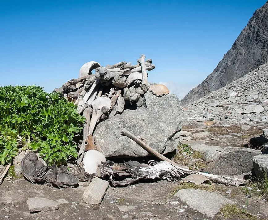 Human_Skeletons_in_Roopkund_Lake